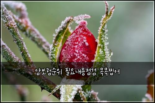 ์๋ณดํ์์ ํ์๋ด์ฉ์ ๊ฒ ์ฝ์ฝ์ฐ์ด