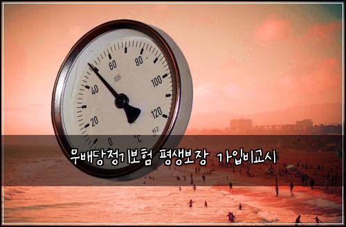 ๋ฌด๋ฐฐ๋น์ ๊ธฐ๋ณดํ ํ์๋ณด์ฅ ๊ฐ์
๋น๊ต์