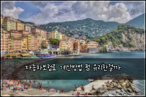 자동차보험료 계산방법 펌 유리한걸까