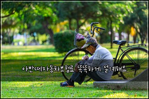 ์๋ฐ๋ผ์๋์ฐจ๋ณดํ๋ฃ ๋๋ํ๊ฒ ์ค๊ณํด์