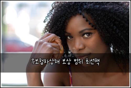 무보험차상해 보상 범위 최선책