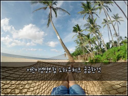 어린이생명보험 노하우체크  궁금한것