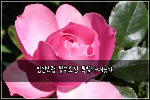 ์์ ๋ณดํ ํ์์์ ํน๋ณ๊ฐ๋๊ณต๊ฐ