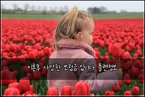 ์ดํผํ ์ฌ๋งํ ๋ณดํ๊ธ ์
๋๋ค ํ๋์ ๋ณด