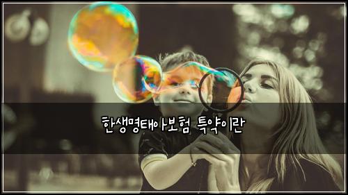 ํ์๋ช
ํ์๋ณดํ ํน์ฝ์ด๋