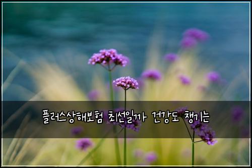플러스상해보험 최선일까  건강도 챙기는