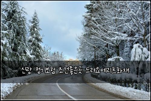 신랑 정기보험 조건좋은곳  드려요메리츠화재