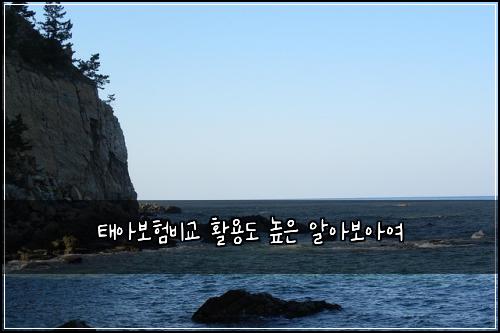 νμ보νλΉκ΅ νμ©λ λμ μμ보μμ¬