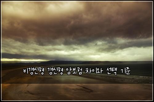 비갱신형 갱신형 암보험 차이와 선택 기준