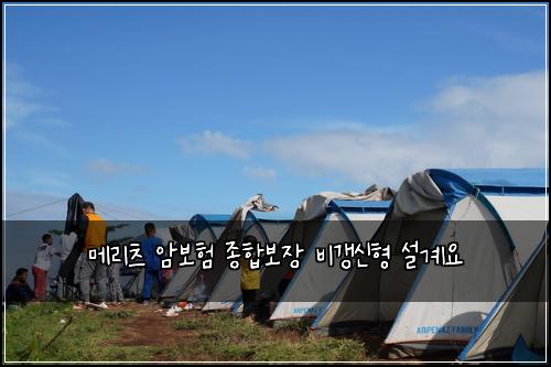 ๋ฉ๋ฆฌ์ธ ์๋ณดํ ์ข
ํฉ๋ณด์ฅ ๋น๊ฐฑ์ ํ ์ค๊ณ์