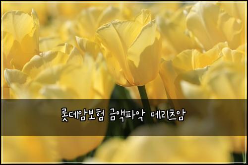롯데암보험 금액파악  메리츠암