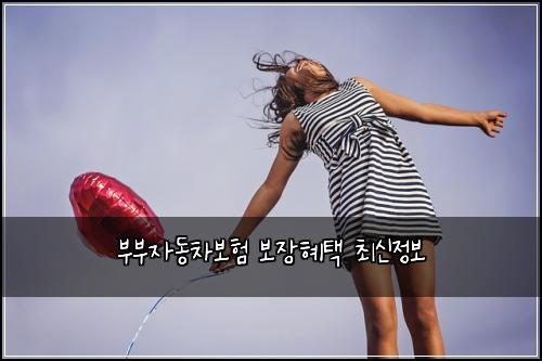 ๋ถ๋ถ์๋์ฐจ๋ณดํ ๋ณด์ฅํํ ์ต์ ์ ๋ณด
