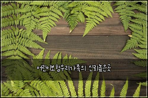 어린이보험우리가족의 신뢰높은곳