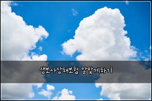 생보사상해보험 알맞게하기 