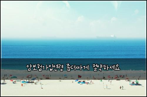 암보험가입연령 좀더싸게 절약하세요