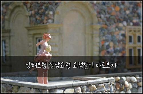 상해보험 상담요령  요점찾기 바로보자