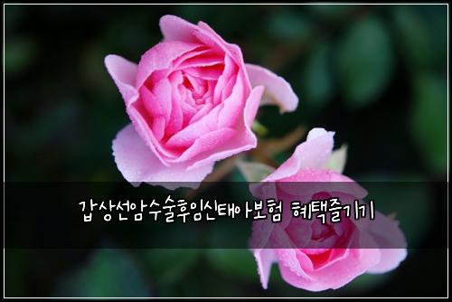 갑상선암수술후임신태아보험 혜택즐기기 