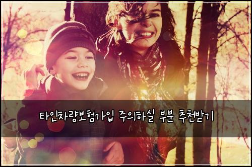 타인차량보험가입 주의하실 부분 추천받기