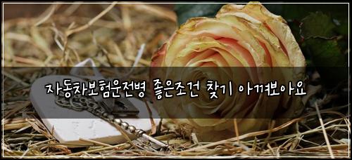 ์๋์ฐจ๋ณดํ์ด์ ๋ณ ์ข์์กฐ๊ฑด ์ฐพ๊ธฐ ์๊ปด๋ณด์์