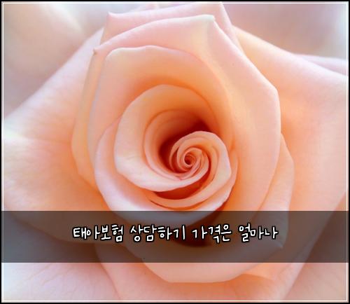 태아보험 상담하기  가격은 얼마나
