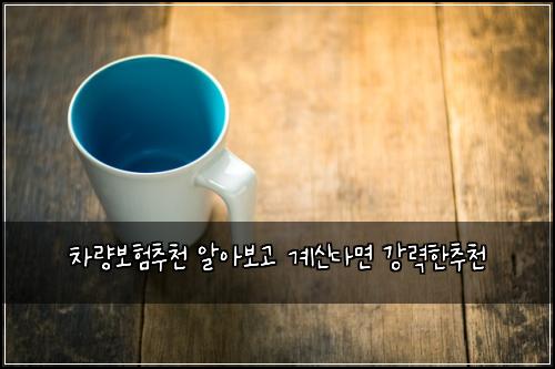 ์ฐจ๋๋ณดํ์ถ์ฒ ์์๋ณด๊ณ ๊ณ์ ๋ค๋ฉด ๊ฐ๋ ฅํ์ถ์ฒ