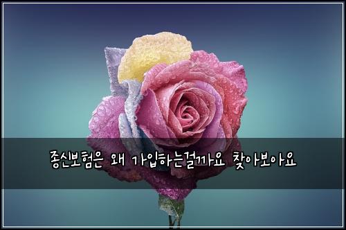 ์ข
์ ๋ณดํ์ ์ ๊ฐ์
ํ๋๊ฑธ๊น์ ์ฐพ์๋ณด์์
