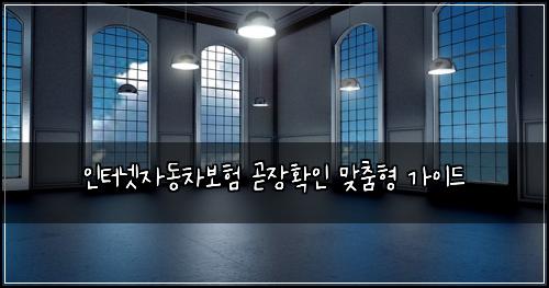 인터넷자동차보험 곧장확인  맞춤형 가이드