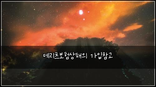 메리츠보험상해의 가입참고