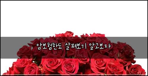 암보험한도 살펴보기 알고보자