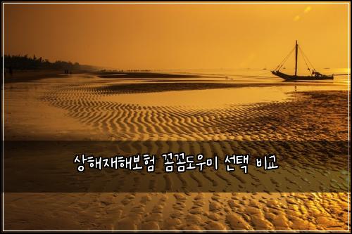 ์ํด์ฌํด๋ณดํ ๊ผผ๊ผผ๋์ฐ๋ฏธ ์ ํ ๋น๊ต