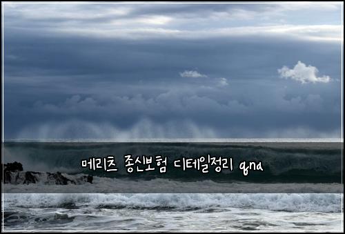 λ©λ¦¬μΈ μ’
μ 보ν λν
μΌμ 리 qna