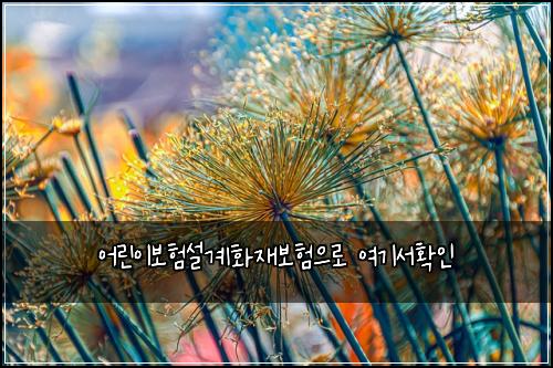 ์ด๋ฆฐ์ด๋ณดํ์ค๊ณํ์ฌ๋ณดํ์ผ๋ก ์ฌ๊ธฐ์ํ์ธ