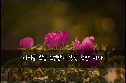 ์์ด๋ค ๋ณดํ ์กฐ์ธ๋ฐ๊ธฐ ์๋ช
๊ฒ๋ง ํ๋