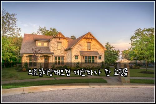 의료실비상해보험 계산하자  한 쇼핑몰