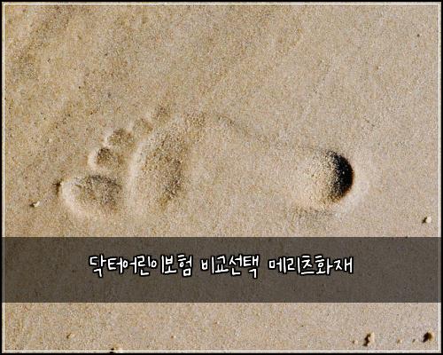 닥터어린이보험 비교선택  메리츠화재