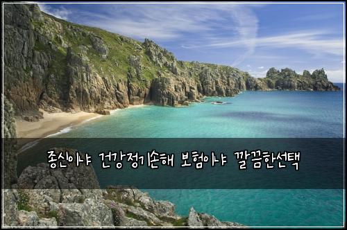 종신이냐 건강정기손해 보험이냐 깔끔한선택