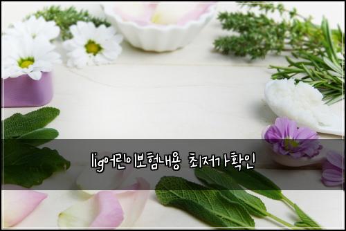 lig어린이보험내용 최저가확인