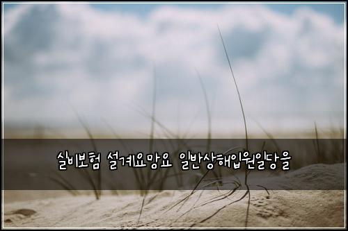 실비보험 설계요망요  일반상해입원일당을