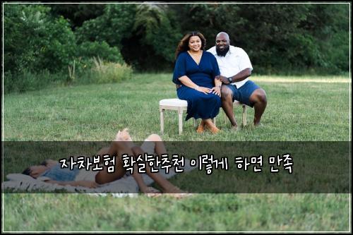 ์์ฐจ๋ณดํ ํ์คํ์ถ์ฒ ์ด๋ ๊ฒ ํ๋ฉด ๋ง์กฑ