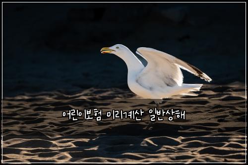 어린이보험 미리계산  일반상해