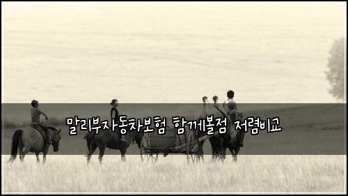 ๋ง๋ฆฌ๋ถ์๋์ฐจ๋ณดํ ํจ๊ป๋ณผ์ ์ ๋ ด๋น๊ต