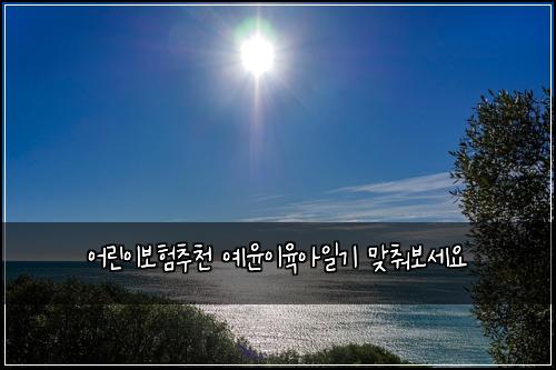 어린이보험추천 예윤이육아일기 맞춰보세요