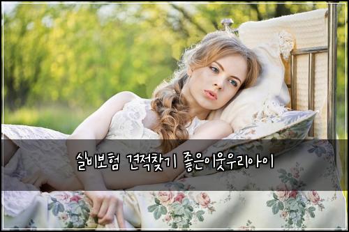 ์ค๋น๋ณดํ ๊ฒฌ์ ์ฐพ๊ธฐ ์ข์์ด์์ฐ๋ฆฌ์์ด