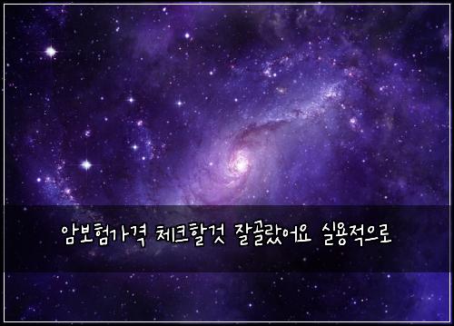 암보험가격 체크할것 잘골랐어요 실용적으로