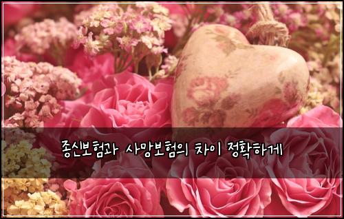 종신보험과 사망보험의 차이 정확하게