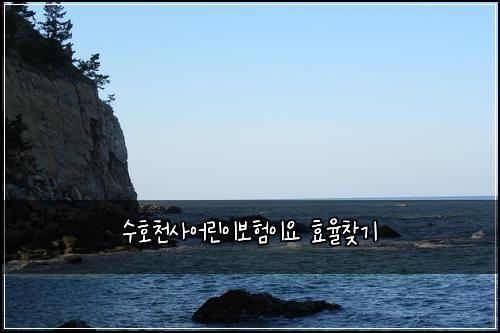 수호천사어린이보험이요 효율찾기