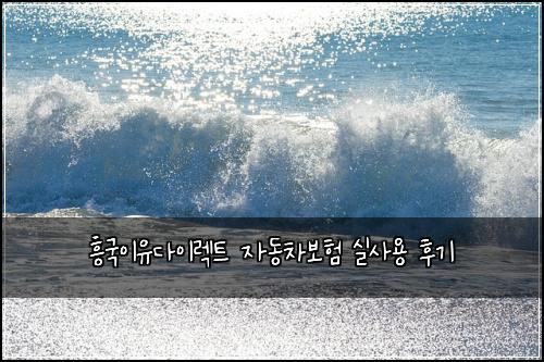 흥국이유다이렉트 자동차보험 실사용 후기