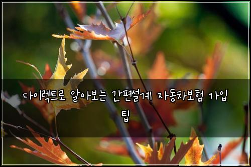 다이렉트로 알아보는 간편설계 자동차보험 가입 팁