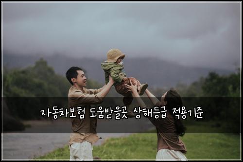 자동차보험 도움받을곳  상해등급 적용기준