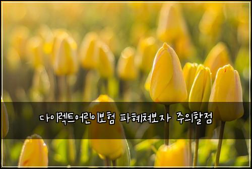 다이렉트어린이보험 파혜쳐보자  주의할점